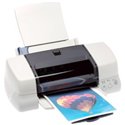 Epson Stylus Photo 870 Printer Ink